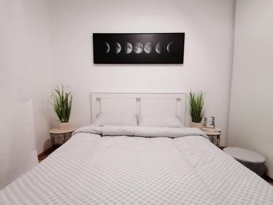 Sofial Apartment *